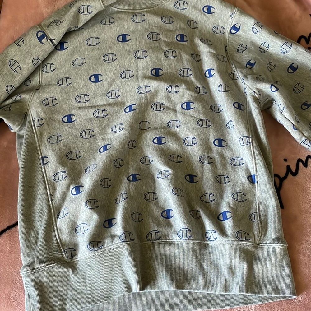 champion crewneck! worn 2-3 times. no stains or holes
